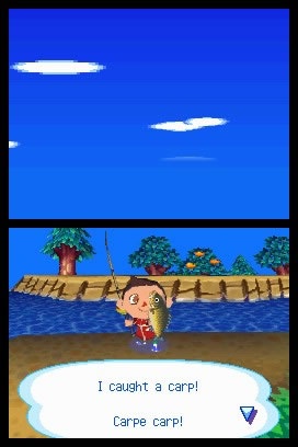 Animal Crossing: Wild World