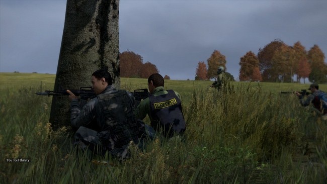 DayZ