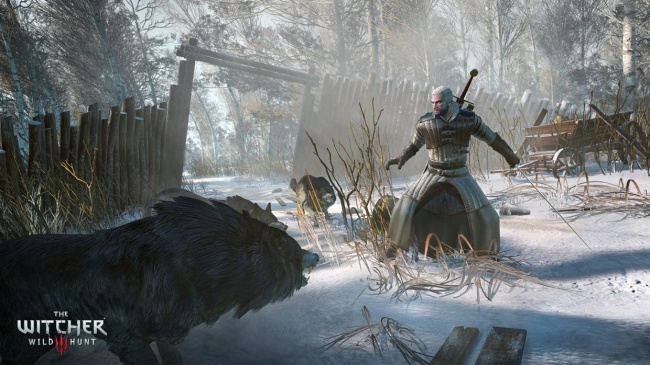  The Witcher 3: Wild Hunt  