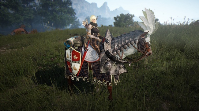   Black Desert