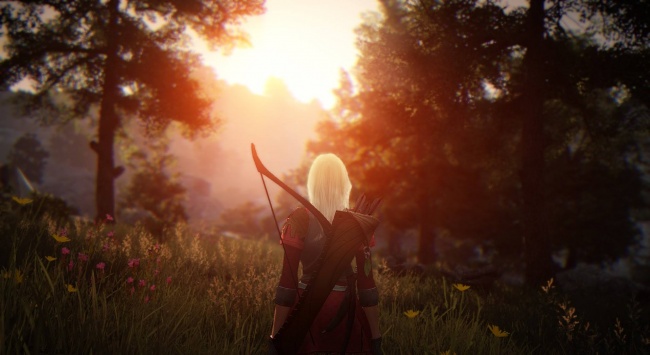   Black Desert