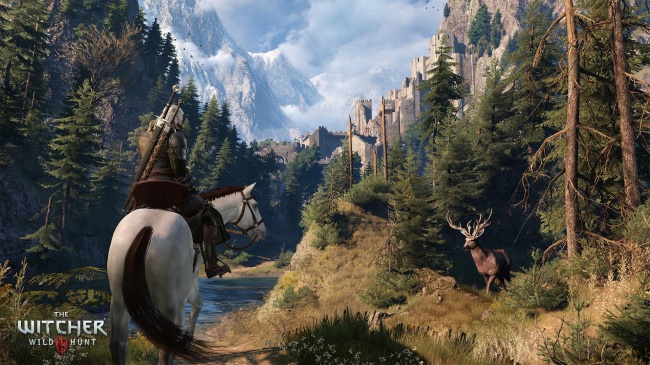 The Witcher 3:  ,    