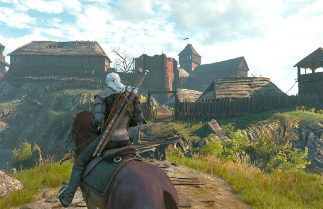 The Witcher 3:  ,    