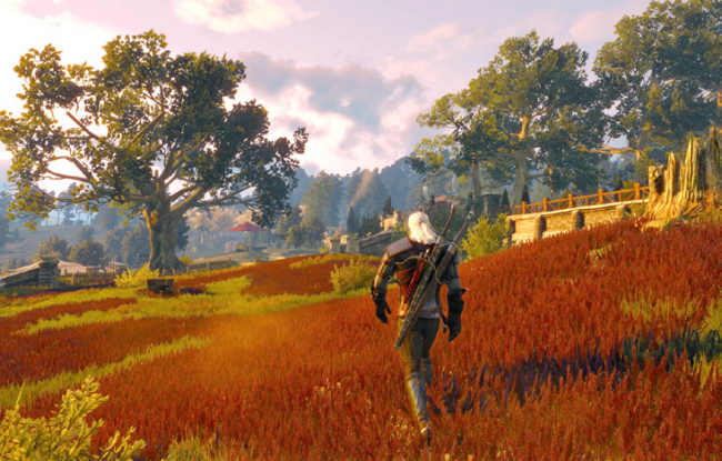 The Witcher 3:  ,    