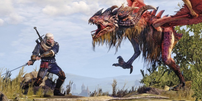 The Witcher 3:  ,    