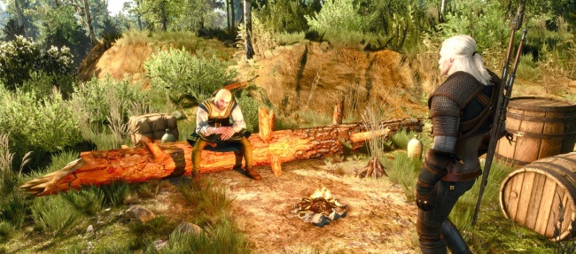 The Witcher 3:  ,    