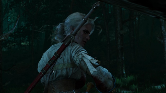   The Witcher 3: Wild Hunt   