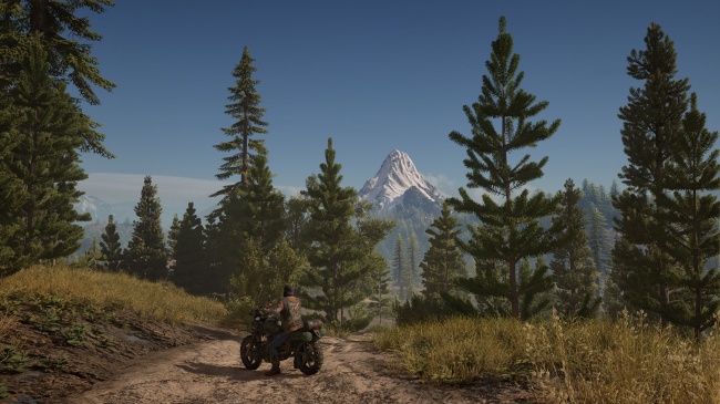 Days Gone  4K