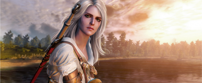 О чем будет The Witcher 4? О чем будет The Witcher 4?